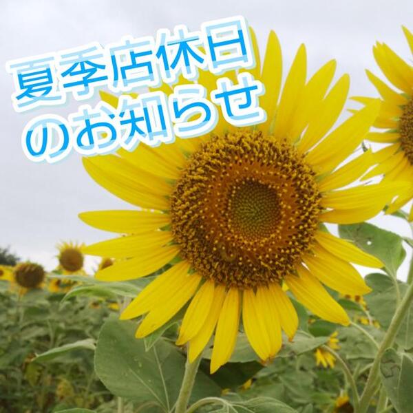 🌻夏季店休日のお知らせ🌻