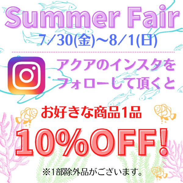 インスタフォローで10%OFF!