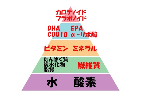 ★栄養ピラミッドを意識すると★　【矢場町で肩こり・脚のむくみ・姿勢矯正ならウェミアス!　20時以降施術OK】