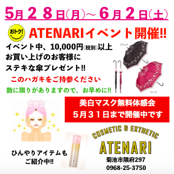 お得がたくさんのATENARIスプリングフェア開催中です‼︎