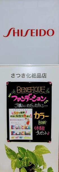 👑BENEFIQUE👑ファンデーション🎁ご購入特典🎁パーソナルカラー診断体験プレゼント🥰🎵