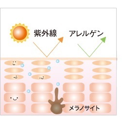 紫外線ダメージを受けないスキンケアの方法