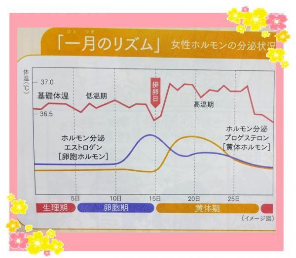 生体のリズムって?知るだけでキレイになれるタイミングが違う!～一月のリズム編～