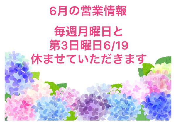 6月の営業情報