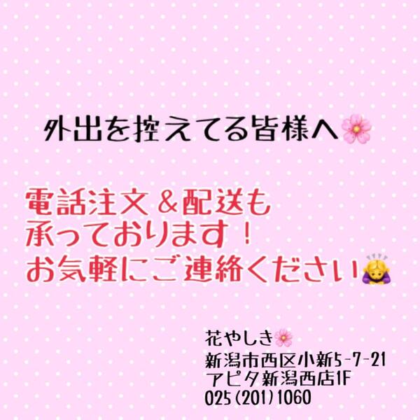 花やしき🌸緊急事態宣言に伴い、電話注文のお知らせ