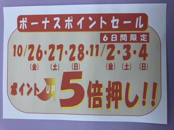 お待たせしました‼️ポイント5倍DAY‼️