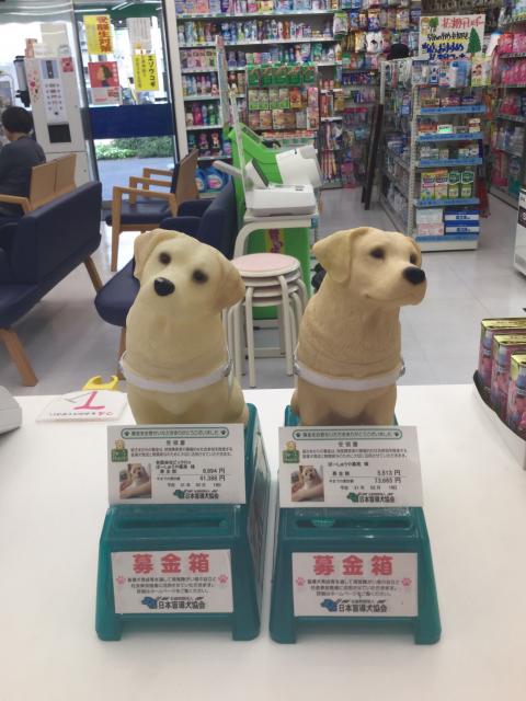 盲導犬協会募金箱U^ェ^U｜ぼーしゅうや薬局