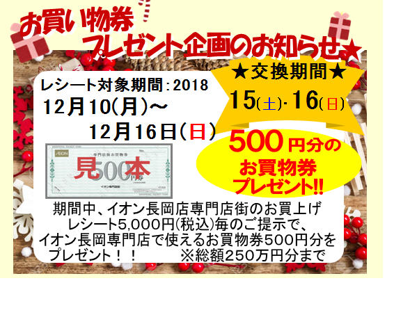 イオン長岡店限定 お買い物券プレゼント Bisho Do ビショウドウ イオン長岡店