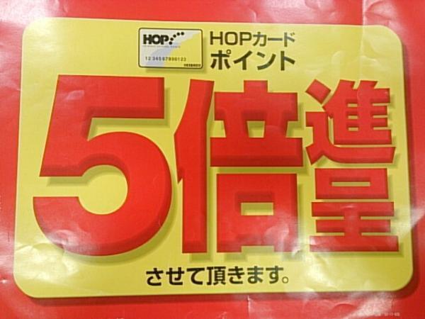 HOPポイント5倍!!!