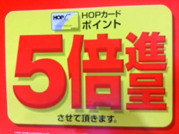 特招会HOPポイント5倍デー!!