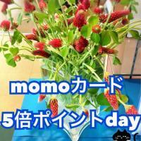 Momo モモ ワッセ店のセール情報 キレイエ