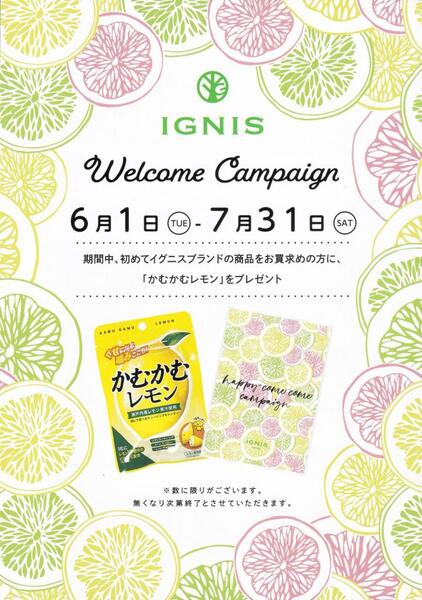 🍋イグニス Welcome Campaign🍋