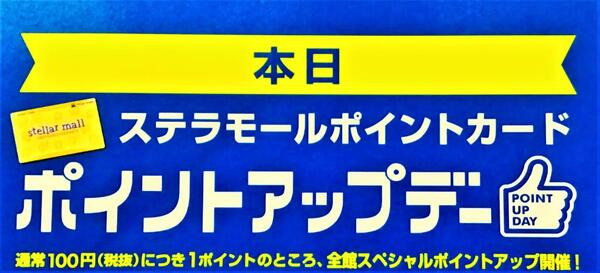 ✨ステラポイント5倍✨