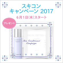 スキコン キャンペーン 2017