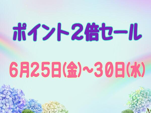 ★ポイント2倍セール★