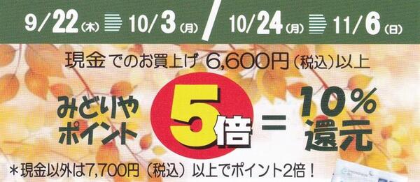 最大10%ポイント還元!みどりや会員様限定セールのお知らせ