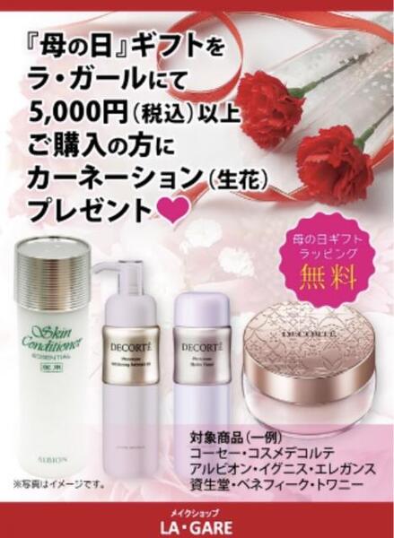 母の日キャンペーン💄生花カーネーションプレゼント🌹