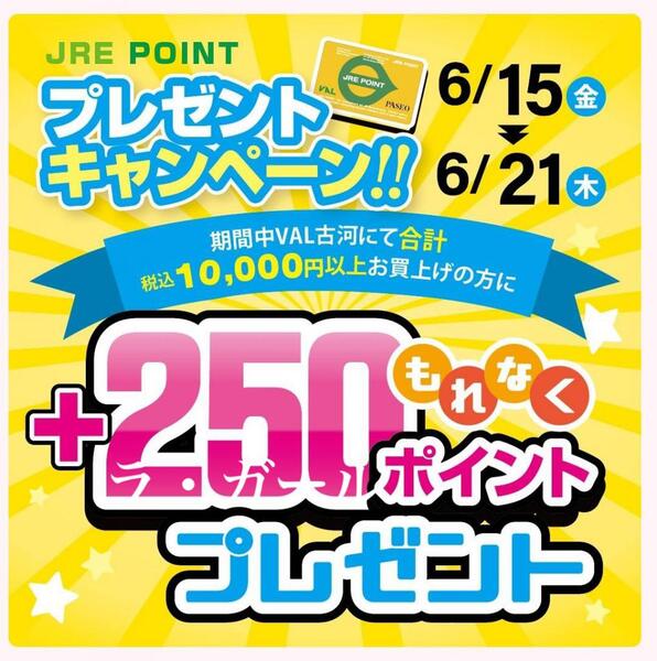 🎀 250ポイント プレゼント キャンペーン 🎀