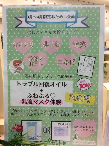 3月〜4月お試し企画‼️