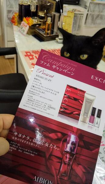 エクシアのオイル『ファム』お買い上げの方へプレゼント😺