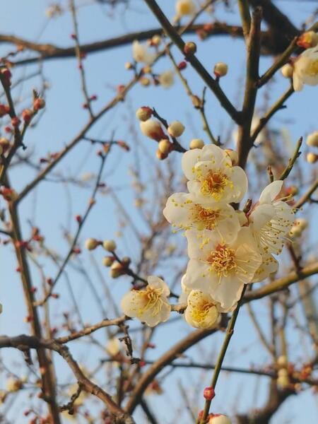 UVケア(日焼け止め)はいつから塗る?