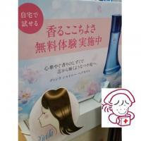 ディシラ シャイニー ヘアオイル｜紹介記事｜キレイエ