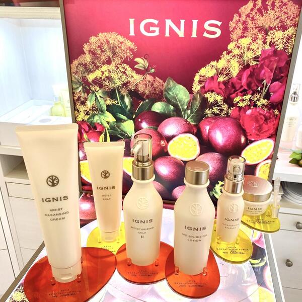 IGNIS モイストライン DEBUT❣️