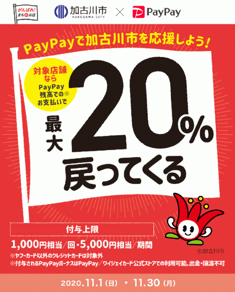 PayPay最大20%戻ってくるキャンペーン❣️