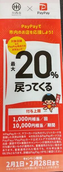 PayPay 20%ポイント付与☆彡2月限定