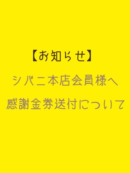 ☆シバニ本店 感謝金券3000円分送付のお知らせ☆