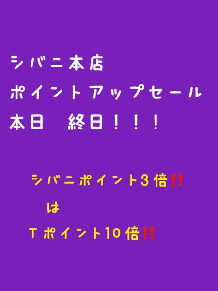 ☆〖本日最終日!〗シバニ本店ポイントアップセール☆