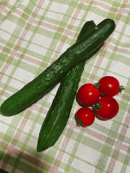 美肌を作る!!夏におすすめの食べ物