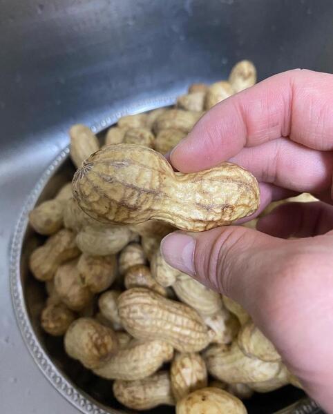 美肌を作る秋に旬の食べ物