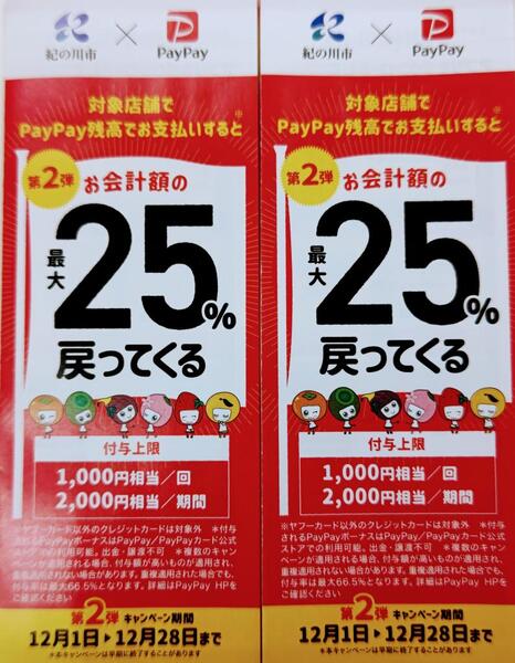 PayPayで最大25%戻ってくる!